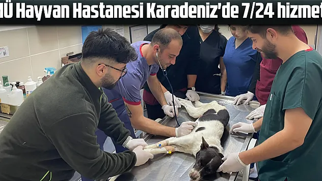 OMÜ Hayvan Hastanesi Karadeniz'de 7/24 hizmette