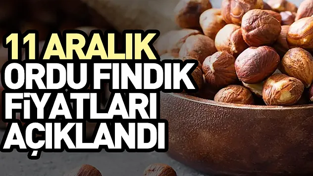 11 Aralık Ordu Fındık Fiyatları Açıklandı