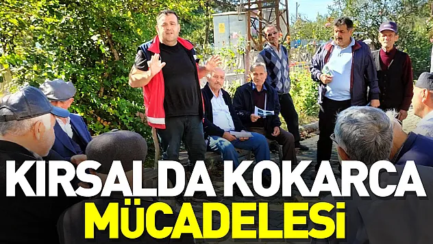 Kırsal Mahallelerde Kahverengi Kokarca Mücadelesi