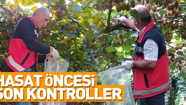 Hasat Öncesi Son Kontroller