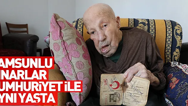 SAMSUNLU ÇINARLAR CUMHURİYET İLE AYNI YAŞTA