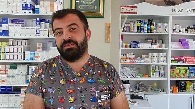 evcil hayvan bakımı