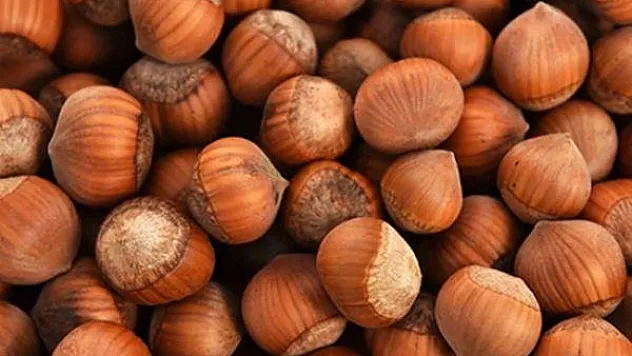 9 aylık fındık ihracatında başı çekti