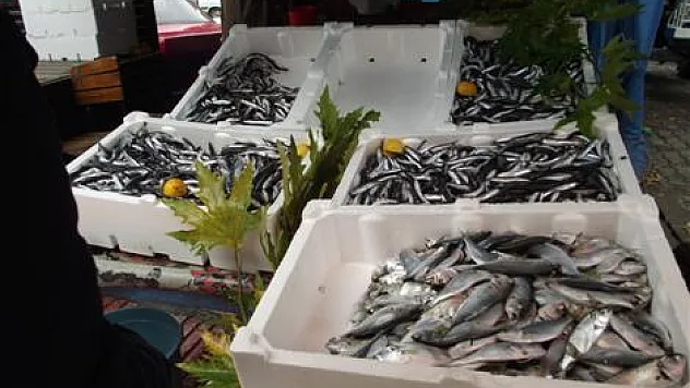 Hamsinin kilosu 2,5 liraya düştü