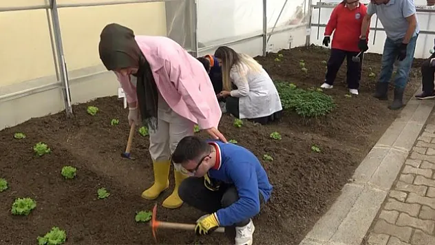 Özel öğrenciler sebze yetiştiriyor