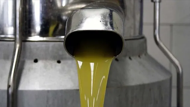 Zeytinyağı ve pirina yağına düzenleme