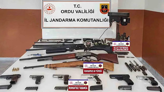 Ordu'da silah ve mühimmat kaçakçılığı
