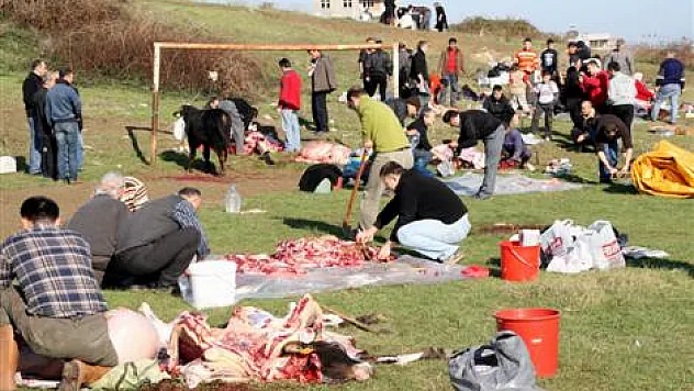 Kurban Kesiminde Önce Sağlık