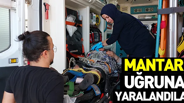 Mantar Uğruna Yaralandılar