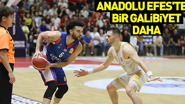 Anadolu Efes'ten bir Galibiyet Daha