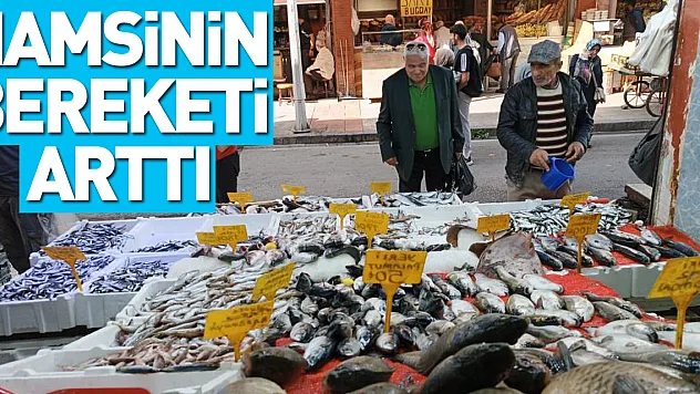 Hamsinin Bereketi Arttı