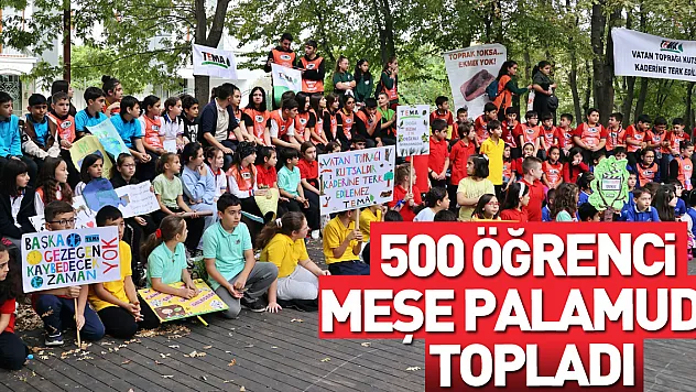 500 öğrenci meşe palamudu topladı