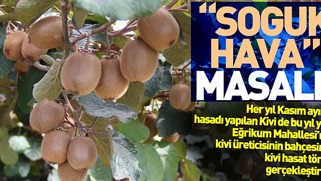 'SOĞUK HAVA' MASALI!