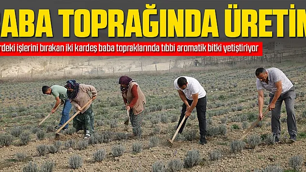 BABA TOPRAĞINDA ÜRETİM