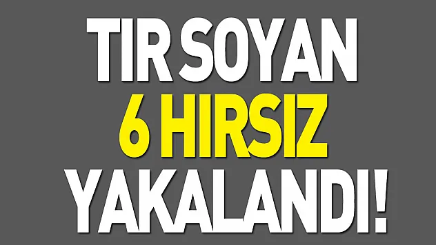 Tır soyan  6 hırsız  yakalandı!