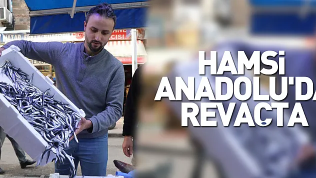 Hamsi Anadolu'da