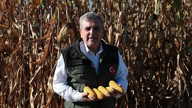 Atık su gübresinde yüksek rekolte