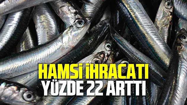 Hamsi ihracatı yüzde 22 arttı