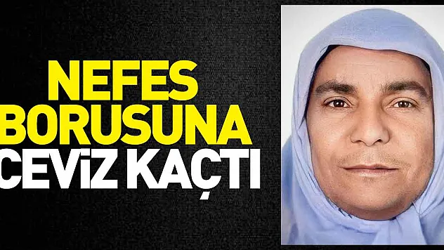 Nefes borusuna ceviz kaçtı