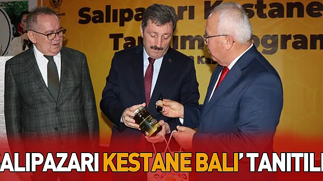 'Salıpazarı kestane balı' tanıtıldı
