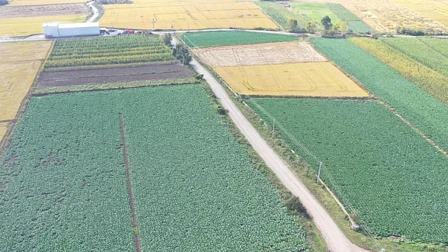 Tarım Ürünleri sıralamasında Türkiye'de ilk sırlamada