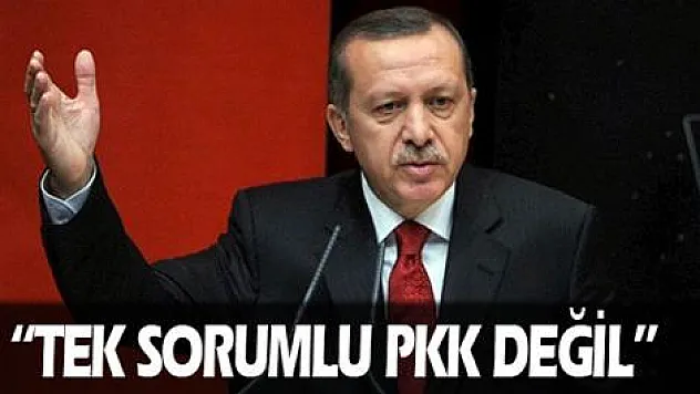 'Tek sorumlu PKK değil'