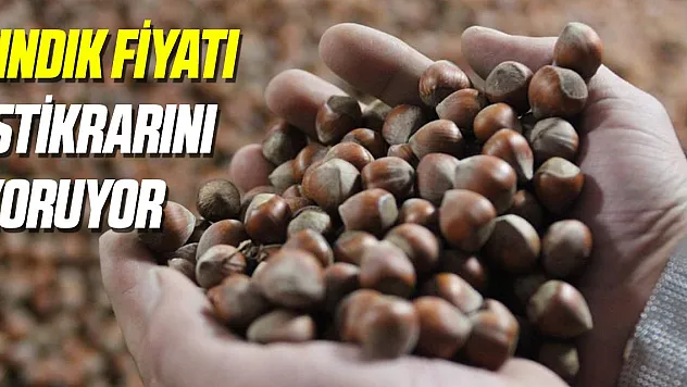 Yılın son ayına girerken fındık fiyatı istikrarını koruyor