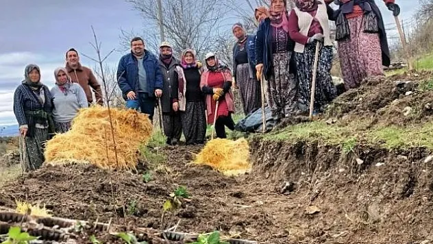 Kütahya'da gıda ormanı