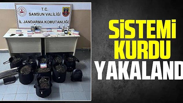 Sistemi kurdu yakalandı