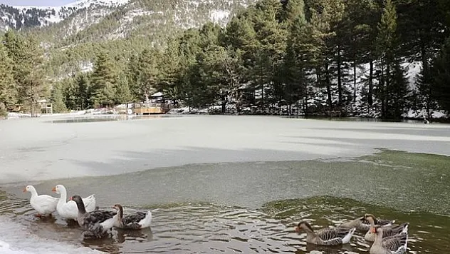 Limni Gölü Tabiat Parkı  ev sahipliği yapıyor