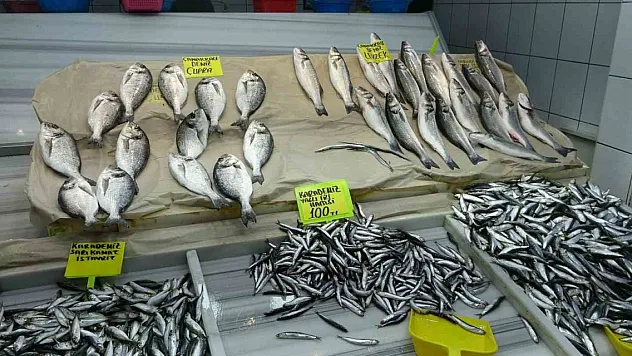 Balıkesir'de fırtına balık fiyatlarını vurdu