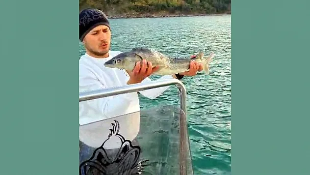 Nesli tükenmek üzere