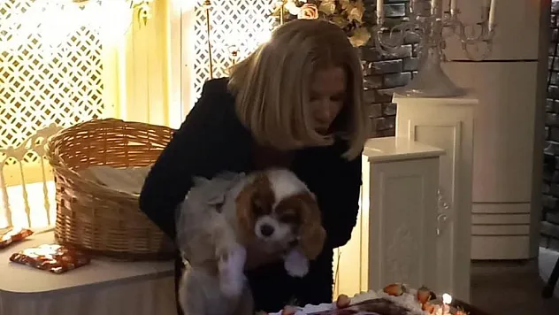 Köpeğe pasta sürprizi