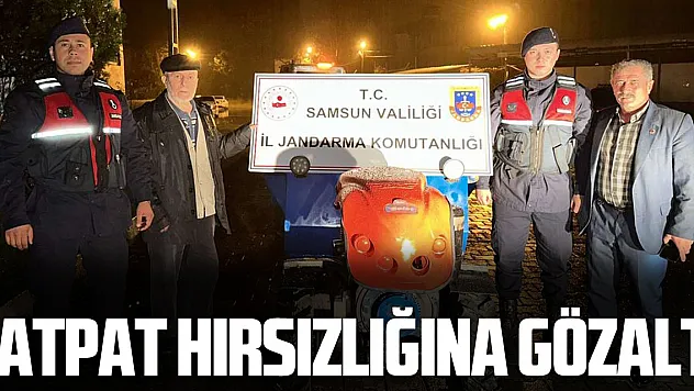 Patpat hırsızlığına gözaltı