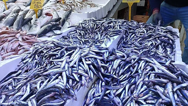 Hamsi Kapış Kapış Gitti