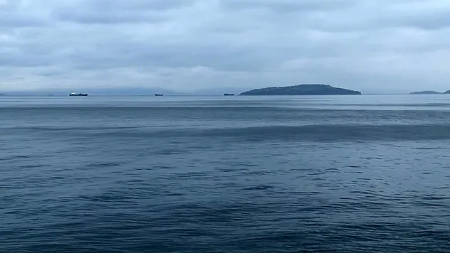 Deprem Sonrası Denizdeki Hareketlilik