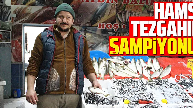 Hamsi tezgahın şampiyonu!