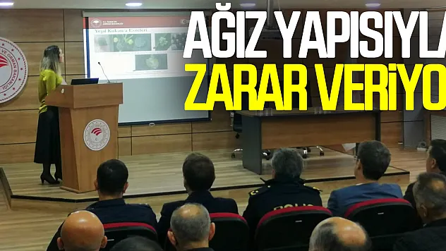 Ağız Yapısıyla Zarar Veriyor