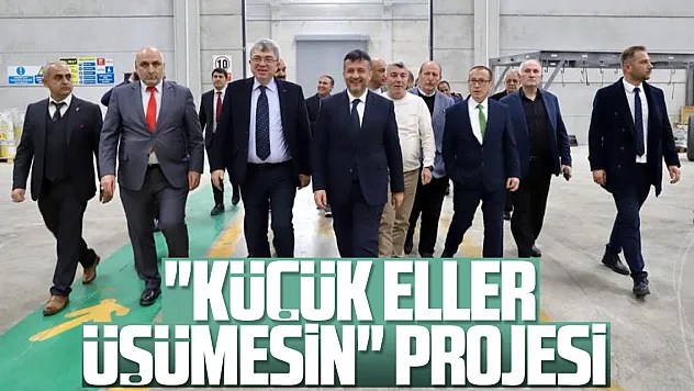 'ÇOCUKLAR ÜŞÜMESİN' PROJESİ