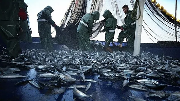 Akdeniz ve Karadeniz'de avlanma düşüşü