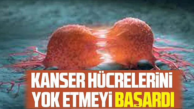 Kanser Hücrelerini Yok Etmeyi Başardı