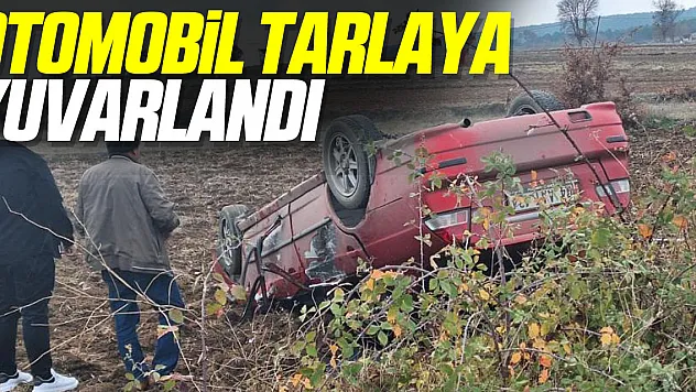 Otomobil tarlaya yuvarlandı