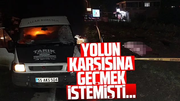 Yolun karşısına geçmek istemişti...