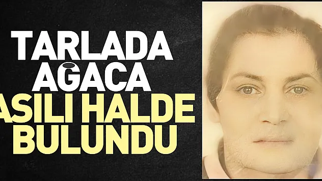 Ağaca asılı halde bulundu