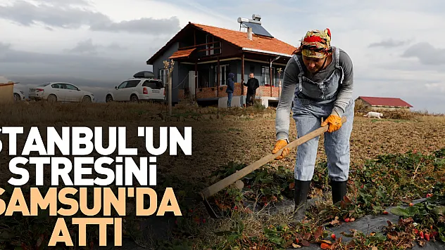 İstanbul'un Stresini Samsun'da Attı