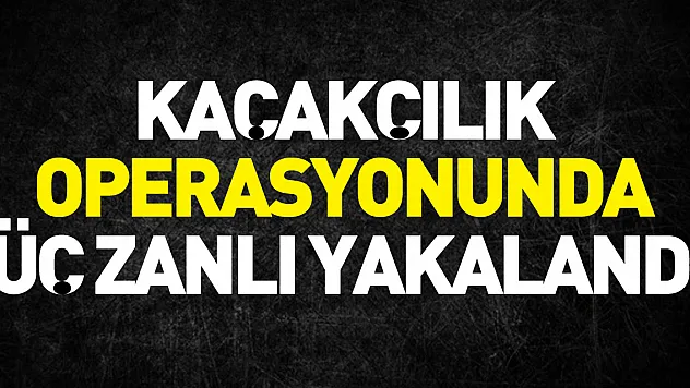 Kaçakçılık Operasyonunda Üç Zanlı Yakalandı