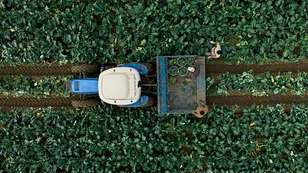 Destek ödemesi başladı