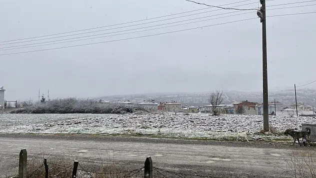 Kavak Beyaza Büründü