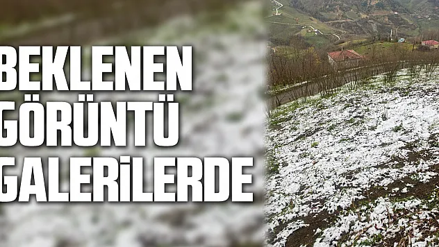 Beklenen Görüntü Galerilerde