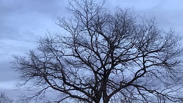 Türklerin İslamiyet'ten Önceki İnanışlarına Ait İzler Halen Yaşatılıyor